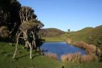 Abel Tasman N..P.