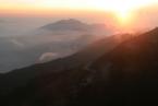 Alishan N.P. 