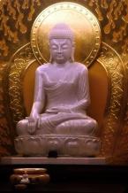 Budha