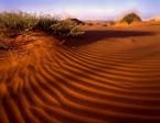 Kalahari