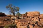 Kings Canyon