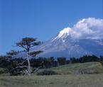 Mout Taranaki