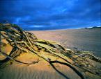  Coffin Bay N.P.