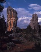 Shilin  stone forest