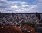 Shilin  stone forest